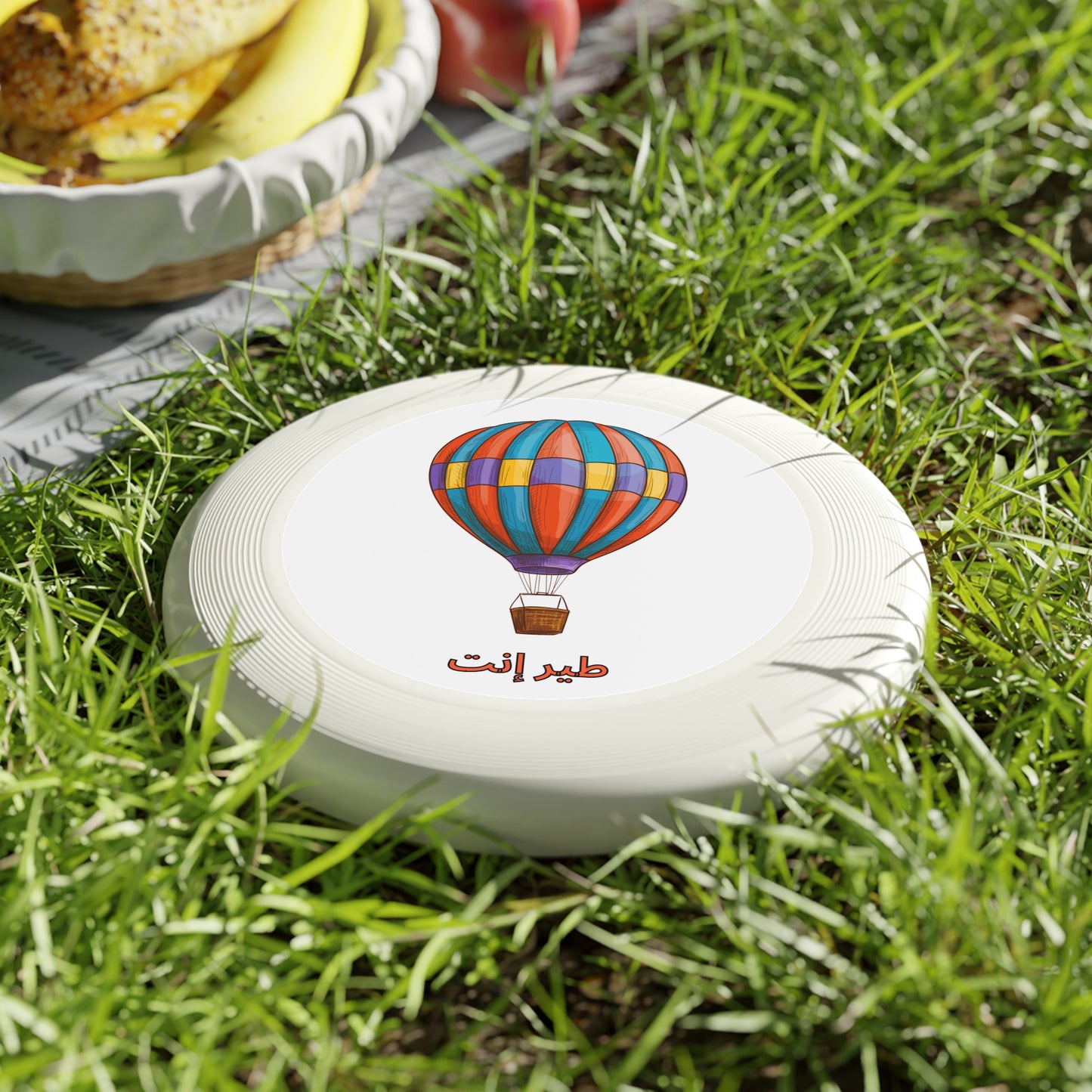 Teer Enta Wham-O Frisbee